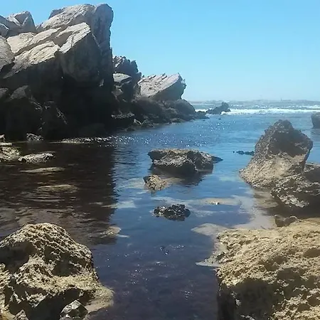 Carmona Διαμέρισμα Sao Martinho do Porto